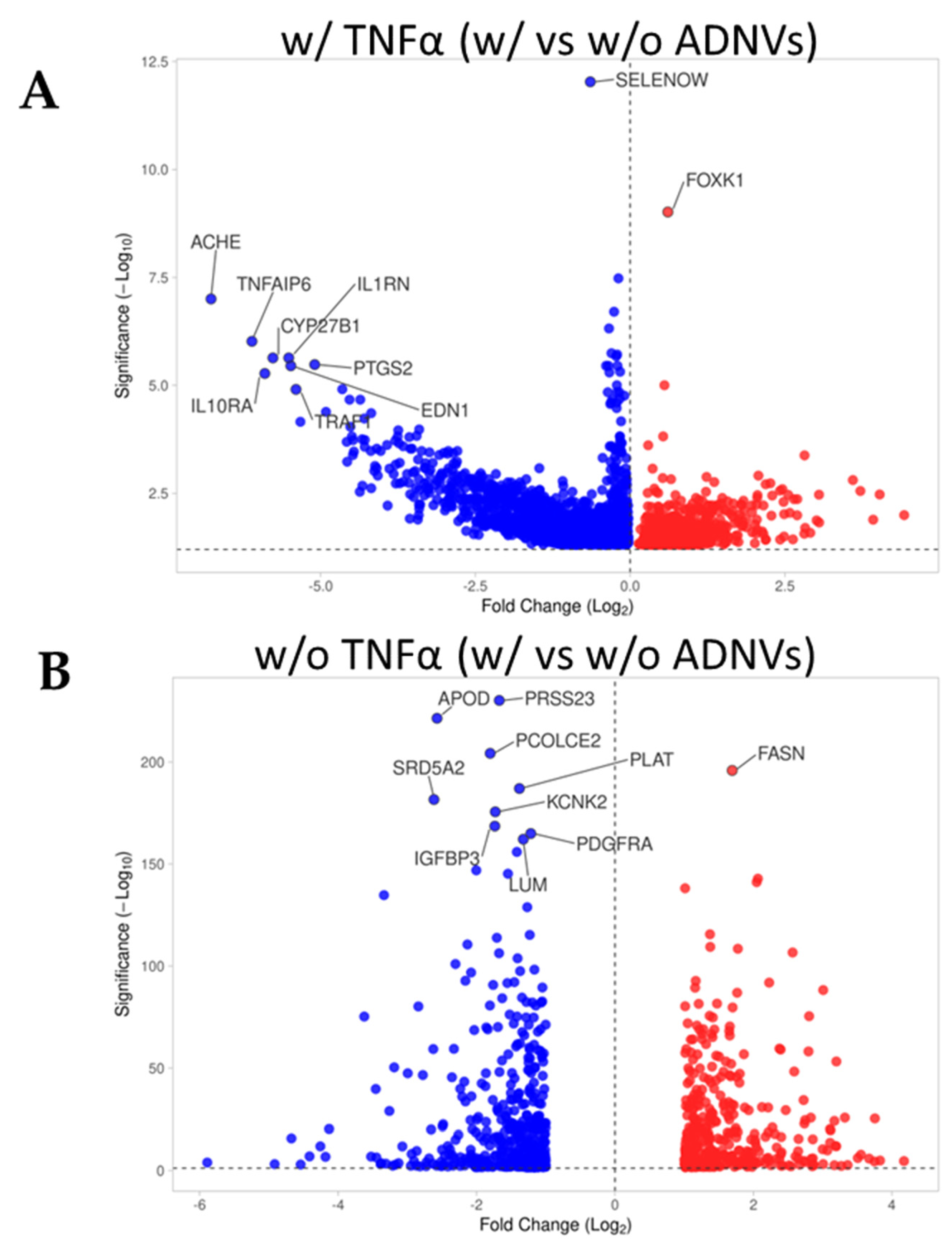 Volcano plots showing gene expression shifts in fibroblasts with or without TNFα after apple-derived nanovesicle (ADNV) treatment.